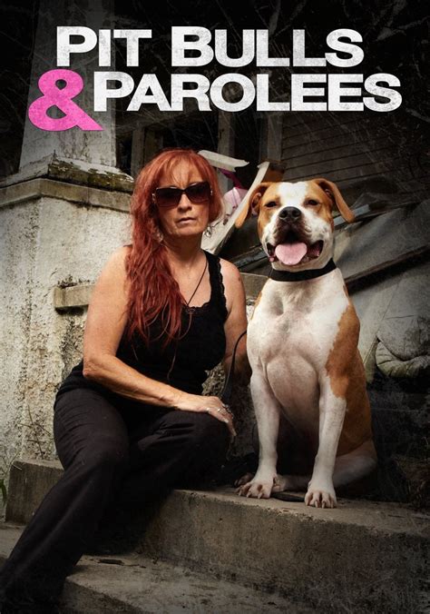 Pit Bulls and Parolees: Season 19 .